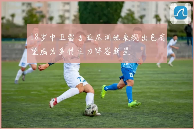 18岁中卫雷吉亚尼训练表现出色有望成为多特主力阵容新星
